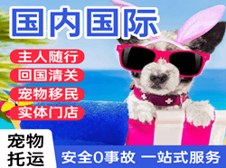 南阳姜营航空物流国际宠物托运 【国